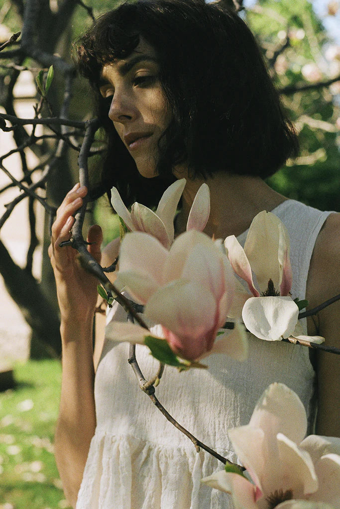 Magnolia Dream