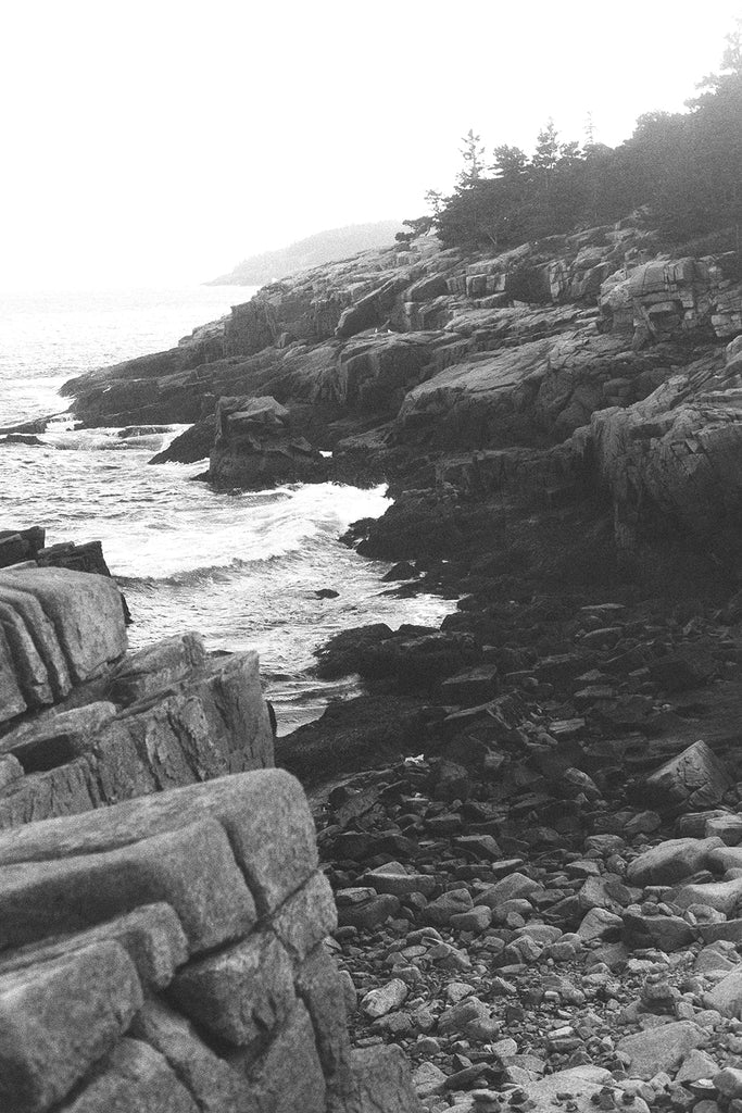 The Waves
